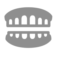 義歯.png